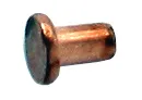 SET OF 100 RIVETS