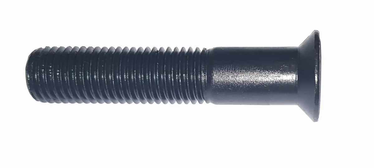 SCREW TF 16X80