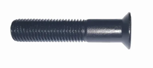 Product SCREW TF 16X80 Image